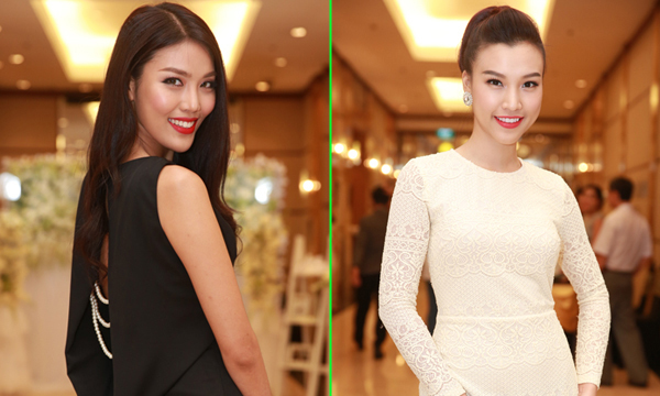 Sự Nổi Bật Của Bộ Sưu Tập