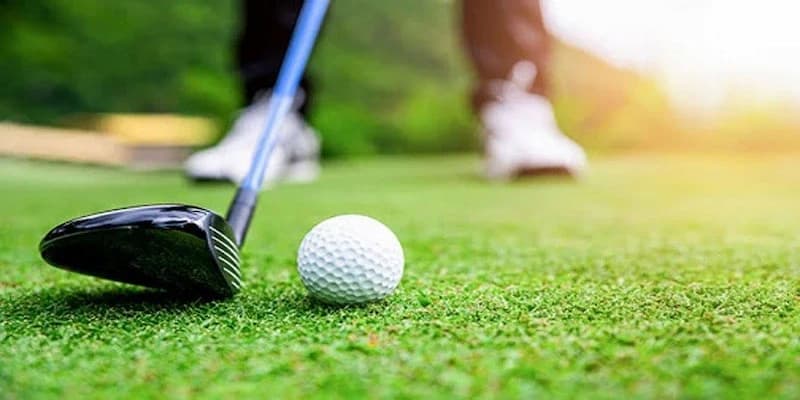 CF68 Cá Cược Golf Dựa Trên Thống Kê Tay Golf Hàng Đầu